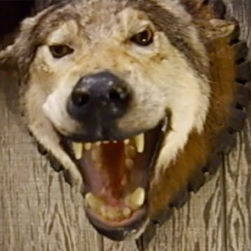 Generic placeholder image